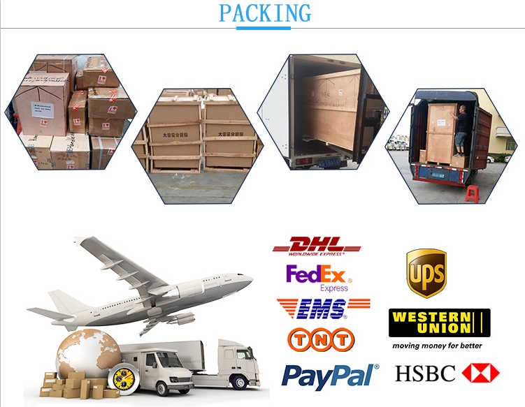 Grain Rice Coffee Weighing Filling Machine with big hopper